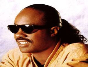Vida y m�sca Stevie Wonder