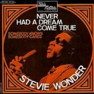 Web Stevie Wonder Hispana, Never Had A Dream Come True