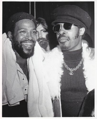 Marvin Gaye & Stevie Wonder, coincident lives