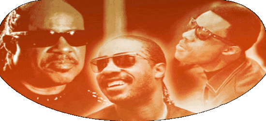 Stevie Wonder creador Stevie innovador