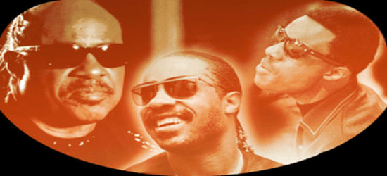 Stevie Wonder creador Stevie innovador