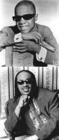 Evolution Stevie Wonder